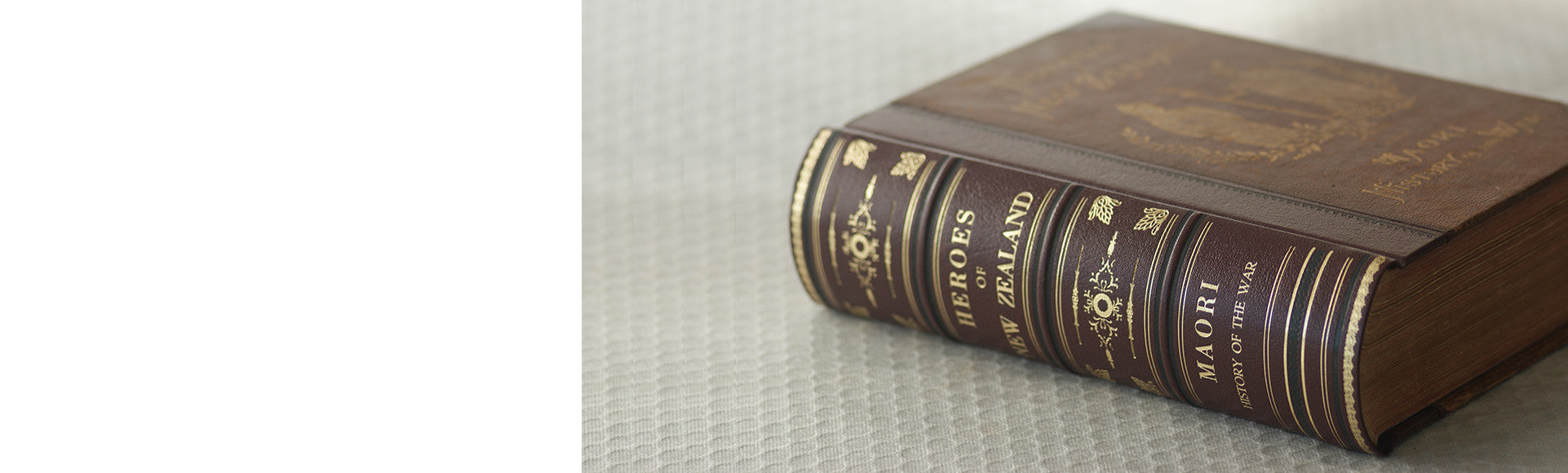 Heroes of New Zealand - Book Restoration by The Bookbindery, specially showing spine decoration